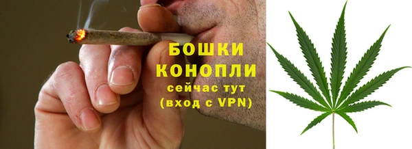 PSILOCYBIN Инта