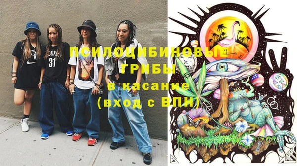 PSILOCYBIN Инта